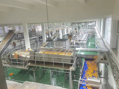 農(nóng)發(fā)行忠縣支行加大農(nóng)業(yè)科技投放力度，助力企業(yè)高質量發(fā)展