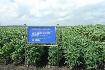 廣東省加大國家農(nóng)業(yè)科研項目扶持力度，推動農(nóng)業(yè)科技發(fā)展