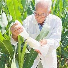 構建科技創(chuàng)新生態(tài) 壯大產(chǎn)業(yè)發(fā)展集群——農(nóng)業(yè)科學研究和試驗發(fā)展的新路徑