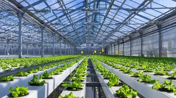 智慧農(nóng)業(yè)新突破 山東省設(shè)施園藝智慧農(nóng)業(yè)裝備重點實驗室獲批成立