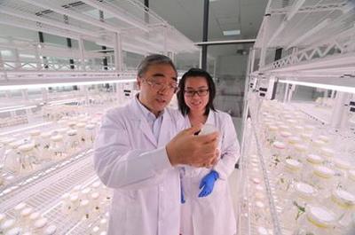 5·30來啦！河南科技工作者暢談農(nóng)業(yè)科學(xué)研究和試驗發(fā)展新篇章