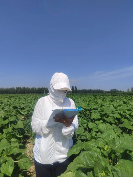 鄂爾多斯市人民政府推動農(nóng)業(yè)科學(xué)研究和試驗發(fā)展的戰(zhàn)略與實踐