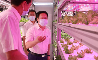 鄭柵潔調(diào)研省農(nóng)科院 強(qiáng)化市場與效率意識，驅(qū)動農(nóng)業(yè)科技創(chuàng)新新篇章