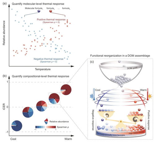 全球變化背景下有機(jī)碳環(huán)境響應(yīng)力研究取得新進(jìn)展——農(nóng)業(yè)科學(xué)研究與試驗發(fā)展的前沿探索