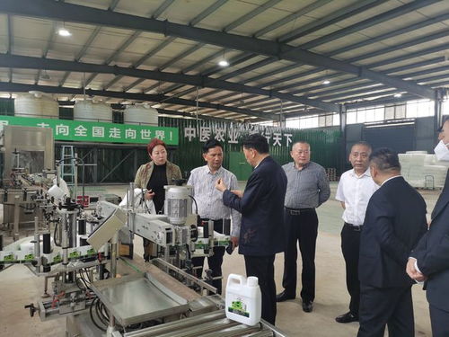 讓農作物喝中藥 重慶造中藥肥料有望走出國門