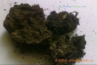 希星生物肥料 玉米專用肥與發酵雞糞顆粒，助力綠色農業增產增收